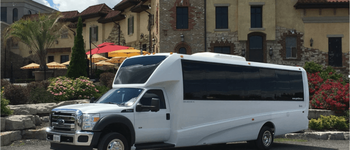 Limo rentals for summer trips from Gem Limousine in Southern Ontario