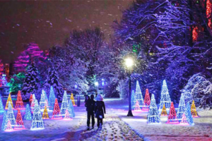 Magical Holiday Light Tours